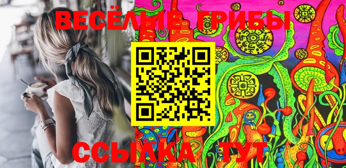 наркотики  Псилоцибиновые грибы мухоморы  Галлюциногенные грибы Psilocybe  Вход с VPN  Санкт-Петербург 